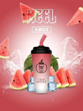 MEEL 6000 口奶茶杯15ML 巨量裝填 智慧 Type-C 快充 超高 CP 值3% 尼古丁完美擊喉感 長效續航不間斷 台灣現貨