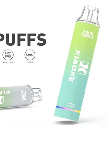 XIAOKE 梟客 拋棄式電子煙 7500口 – 可充電Type-C快充 8ml大容量煙油 650mAh電池 網狀霧化芯  台灣現貨