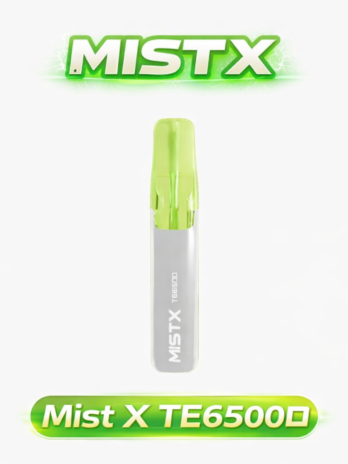 【Mist X】鴨嘴獸拋棄式電子煙 6500口 650mAh可充電 萌系造型 冰爽水果口味 現貨秒發