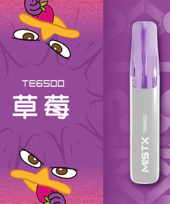 【Mist X】鴨嘴獸拋棄式電子煙 6500口 650mAh可充電 萌系造型 冰爽水果口味 現貨秒發