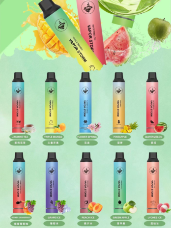 【VAPOR STORM】風暴系列 5000口拋棄式電子煙 10ml 650mAh可充電 Mesh芯 硬派金屬質感 現貨秒發