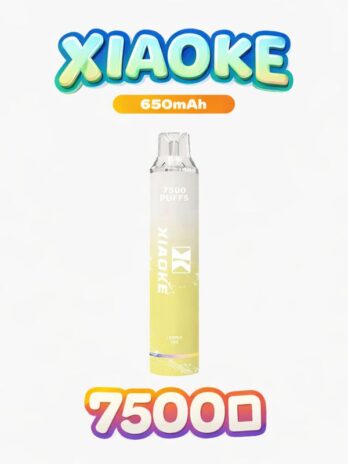 XIAOKE 梟客 拋棄式電子煙 7500口 – 可充電Type-C快充 8ml大容量煙油 650mAh電池 網狀霧化芯  台灣現貨