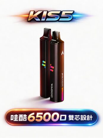 WAGOO KIS5 哇酷 6500口一次性電子煙 雙芯可混搭 78種口感創造 不漏油順滑 711到付現貨