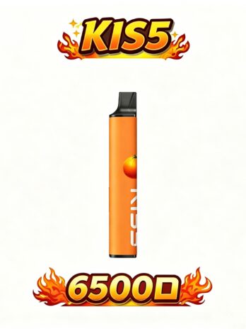 KIS5 鎧斯 6500口拋棄式 Type-C快充 雙芯磁吸混搭風味 不漏油順滑 711到付現貨